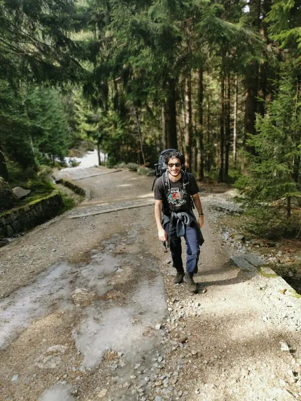 A forest trail in early spring, with the last of the snow still lying in the shade.