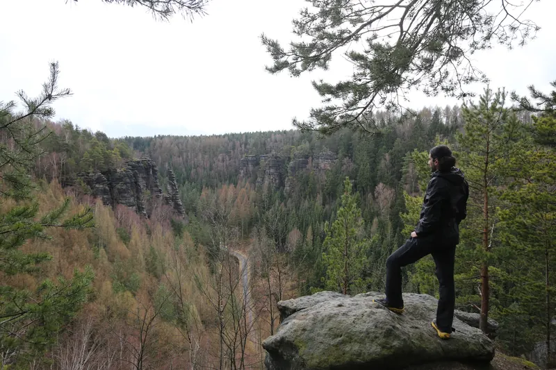 Auf einem Sandsteinfelsen stehend, mit Blick über eine bewaldete Schlucht in der Sächsischen Schweiz.