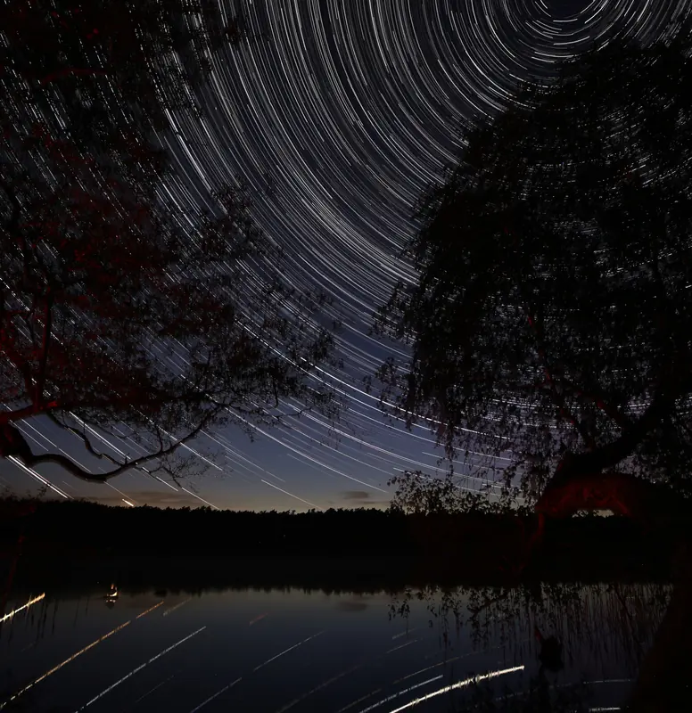 Strichspuren über einem See, gerahmt von überhängenden Bäumen, ein Rest Dämmerung steht noch am Horizont.